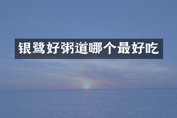 银鹭好粥道哪个最好吃