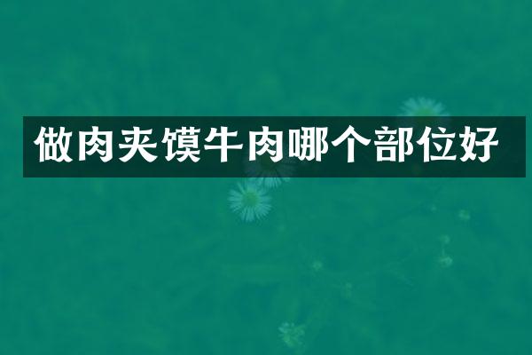 做肉夹馍牛肉哪个部位好