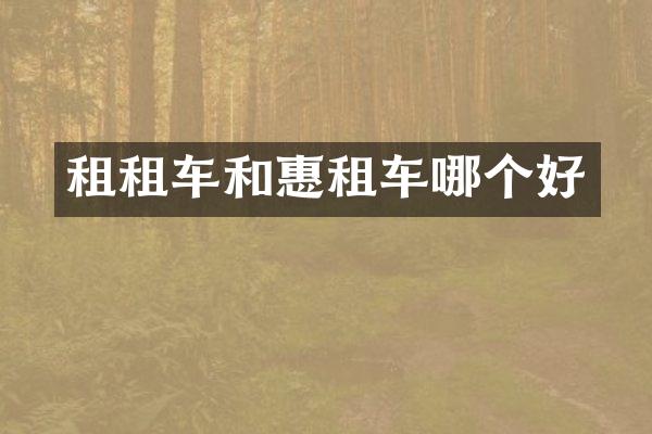 租租车和惠租车哪个好