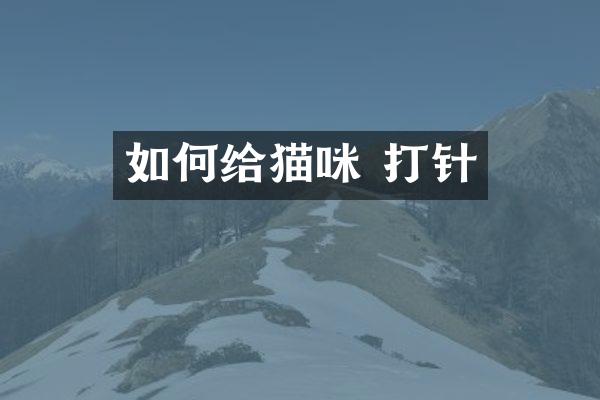 如何给猫咪 打针