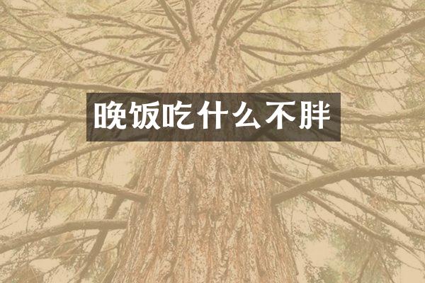 晚饭吃什么不胖