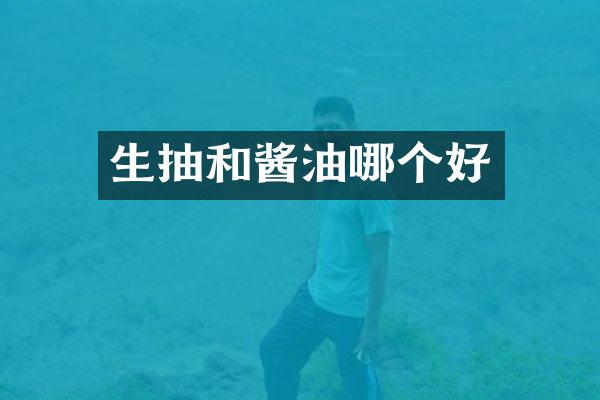 生抽和酱油哪个好