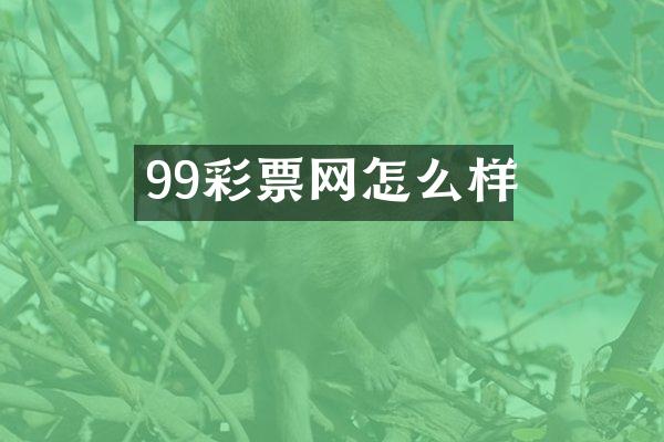 99彩票网怎么样