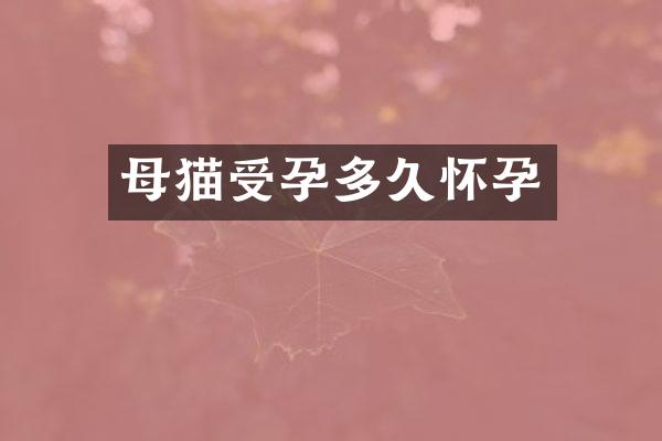 母猫受孕多久怀孕