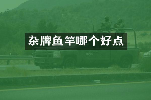 杂牌鱼竿哪个好点