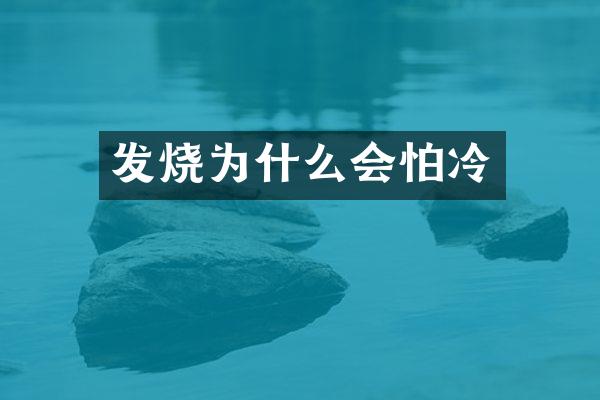 发烧为什么会怕冷