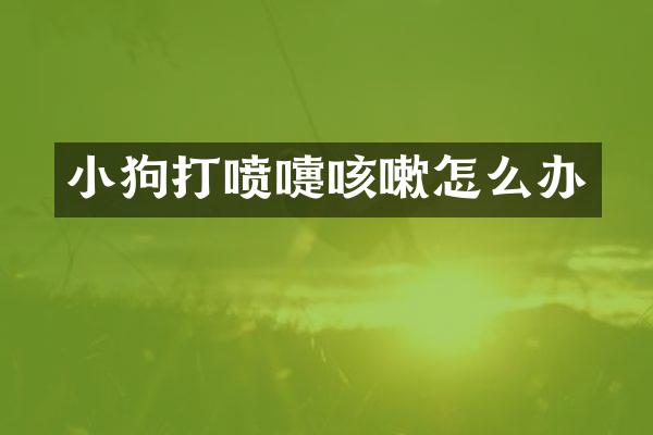 小狗打喷嚏咳嗽怎么办