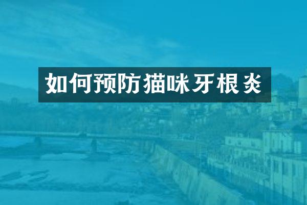 如何预防猫咪牙根炎