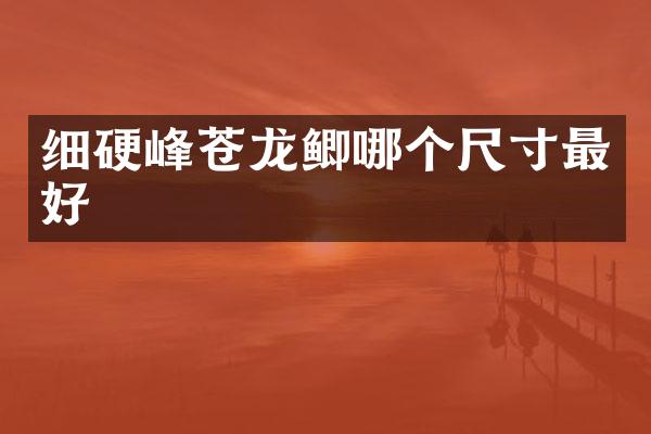 细硬峰苍龙鲫哪个尺寸最好