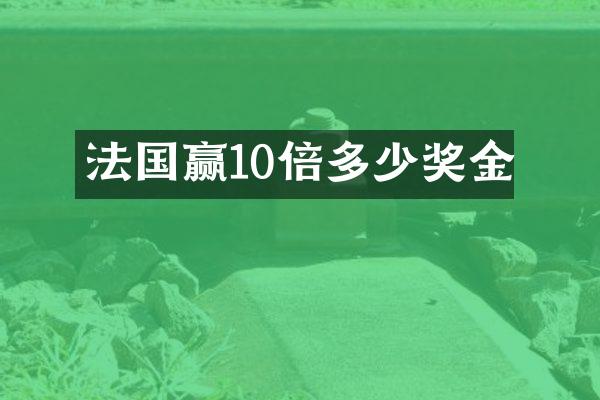 法国赢10倍多少奖金