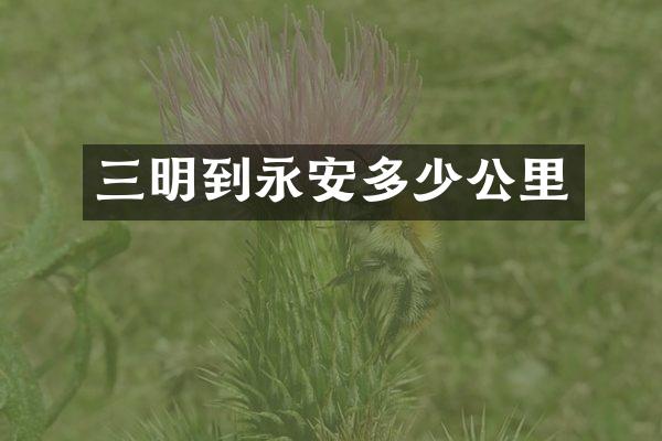 三明到永安多少公里