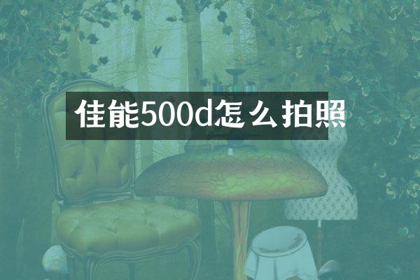 佳能500d怎么拍照