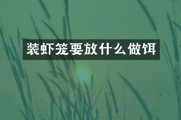装虾笼要放什么做饵