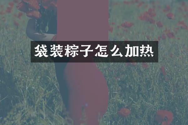 袋装粽子怎么加热