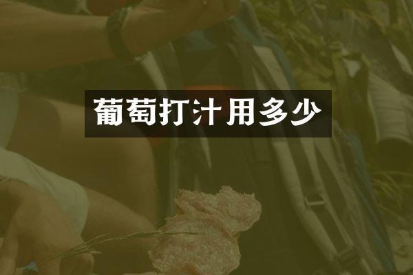 葡萄打汁用多少