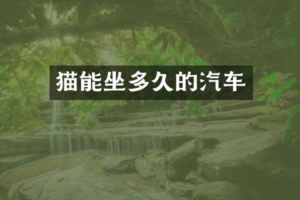 猫能坐多久的汽车