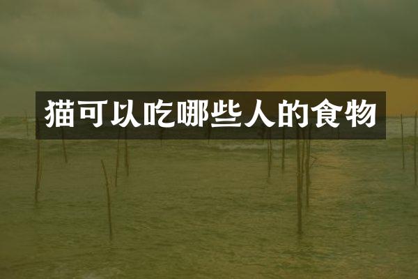 猫可以吃哪些人的食物