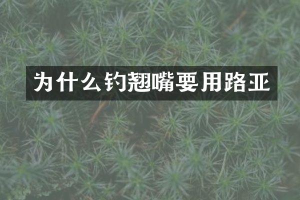 为什么钓翘嘴要用路亚