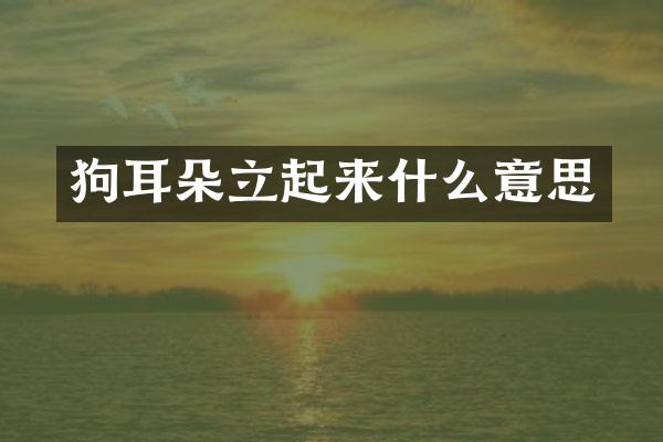 狗耳朵立起来什么意思