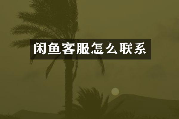 闲鱼客服怎么联系