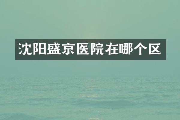 沈阳盛京医院在哪个区
