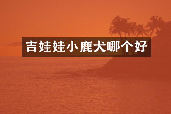 吉娃娃小鹿犬哪个好