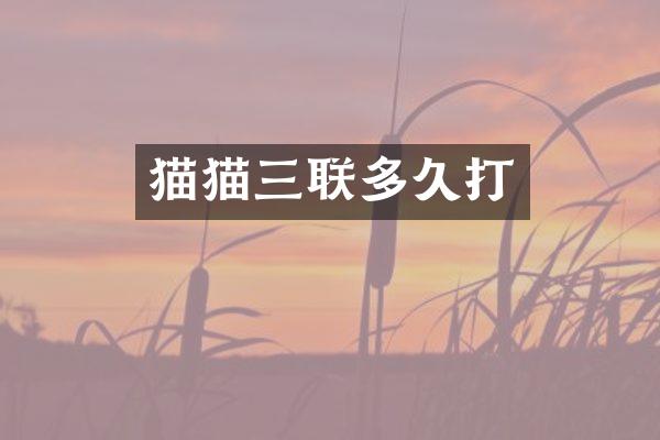 猫猫三联多久打