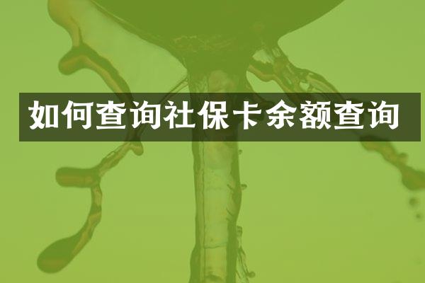 如何查询社保卡余额查询