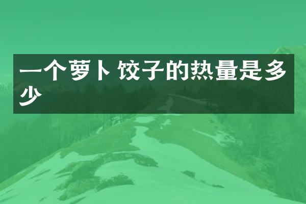 一个萝卜饺子的热量是多少