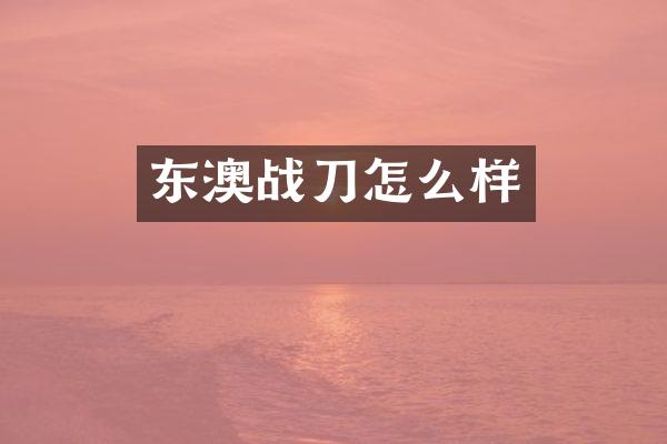 东澳战刀怎么样