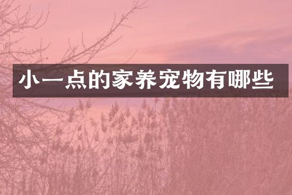 小一点的家养宠物有哪些