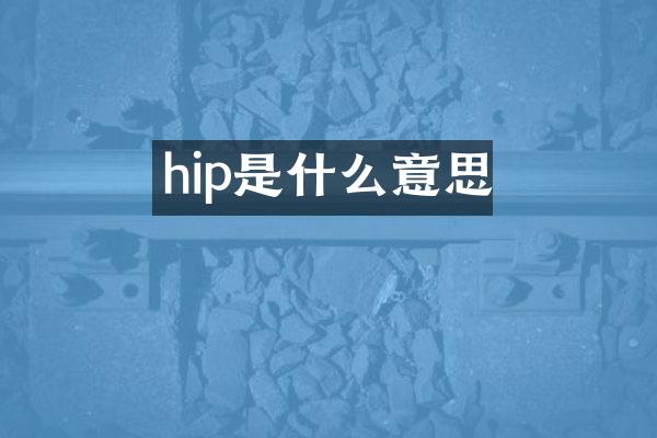 hip是什么意思