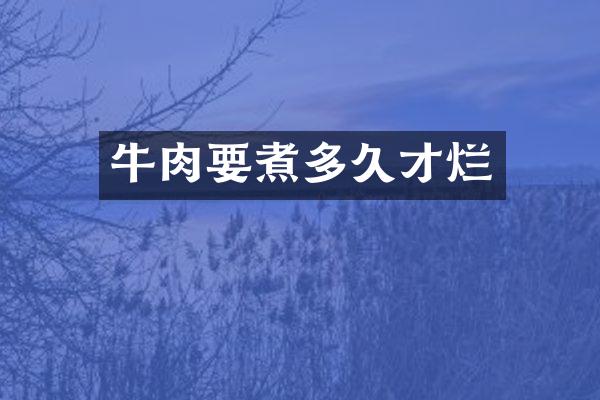 牛肉要煮多久才烂