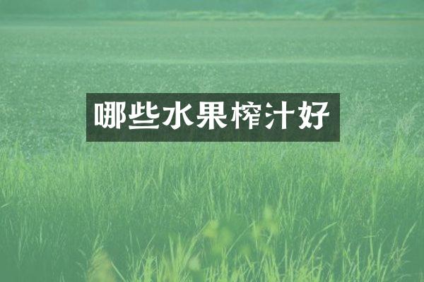 哪些水果榨汁好