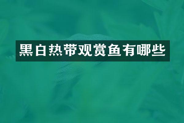 黑白热带观赏鱼有哪些