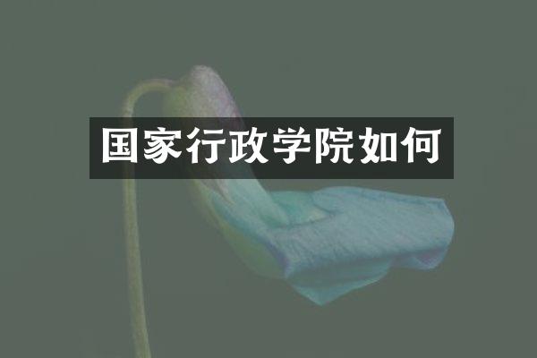 国家行政学院如何