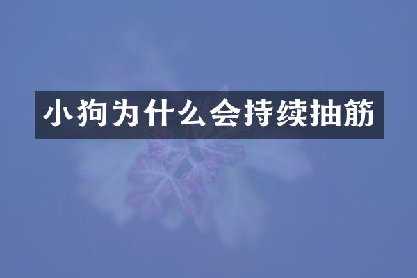 小狗为什么会持续抽筋