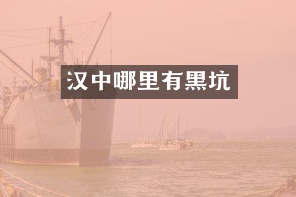汉中哪里有黑坑