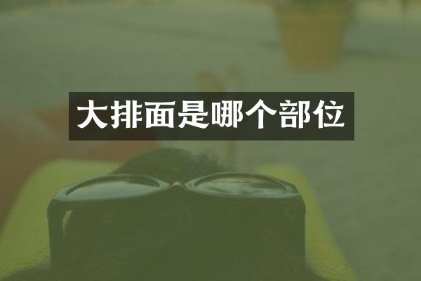 大排面是哪个部位