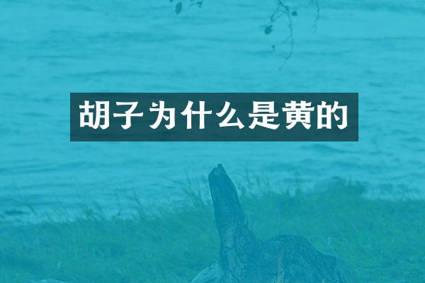 胡子为什么是黄的