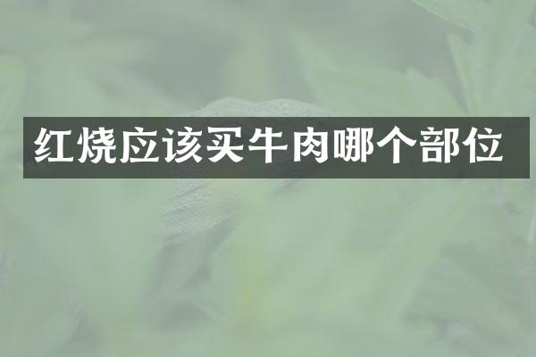 红烧应该买牛肉哪个部位