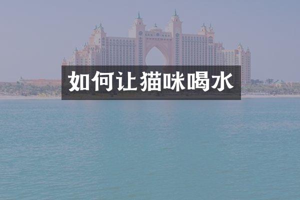 如何让猫咪喝水