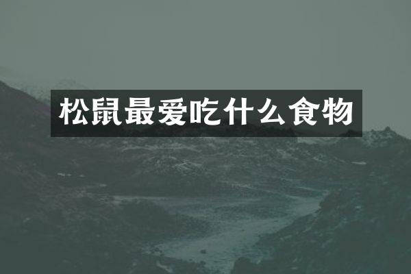 松鼠最爱吃什么食物