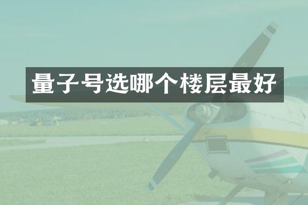 量子号选哪个楼层最好