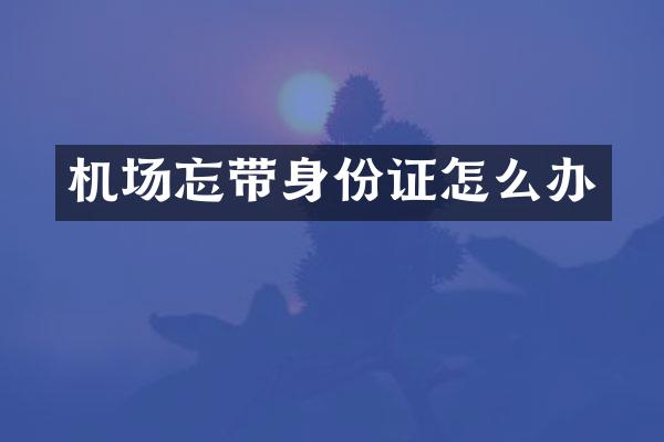 机场忘带身份证怎么办
