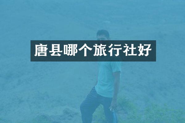 唐县哪个旅行社好