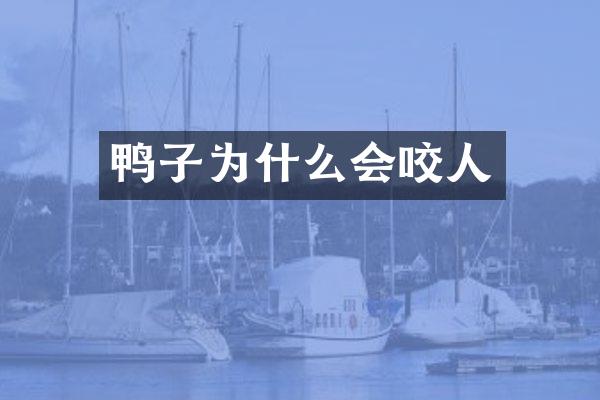 鸭子为什么会咬人