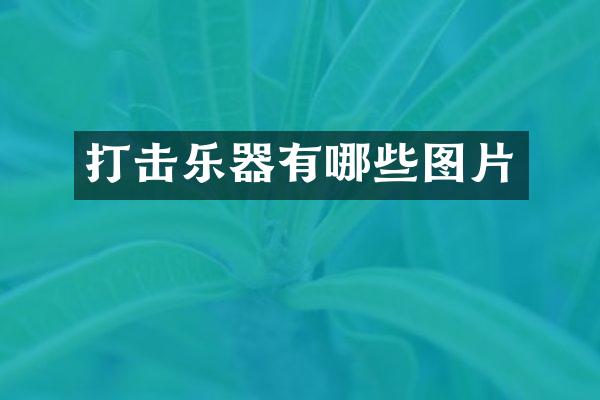 打击乐器有哪些图片