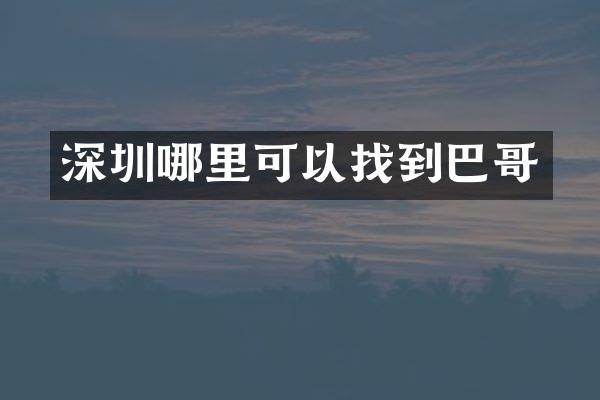 深圳哪里可以找到巴哥