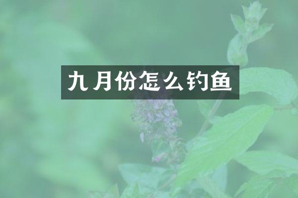 九月份怎么钓鱼